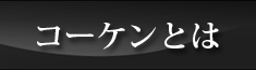 コーケンとは