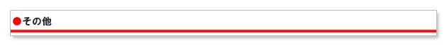 その他